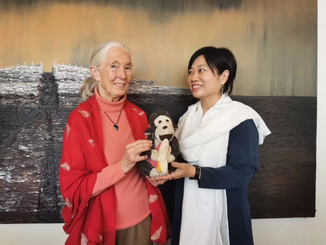 关于Dr. Jane Goodall你绝对不知道的秘密 现场图 4 | 田丽莲 Lilian Tian 金尚JinShang