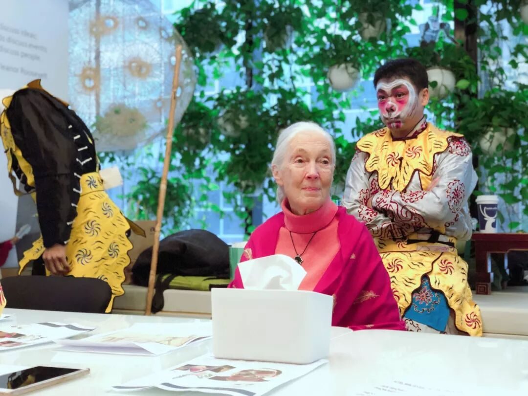关于Dr. Jane Goodall你绝对不知道的秘密 现场图 8 | 田丽莲 Lilian Tian 金尚JinShang
